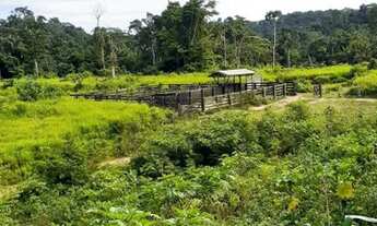 Imagem 2: Lotes formados na região de ruropolis PA dão vários lotes