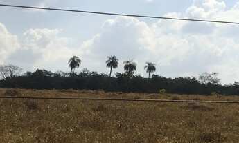 Imagem 5: Fazenda/Sítio/Chácara, 6 Alqueires goiano, terra de cultura, 2 represas, córrego,Pirenópol