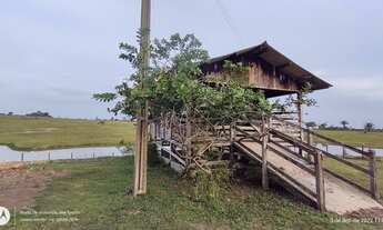 Imagem 6: 81 Alqueire pronta próx porto de Barcarena top