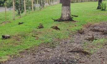 Imagem 2: Chácara em São Mateus do Sul, região olho D'Água