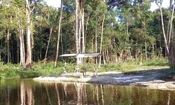 Imagem 2: Vendo Lindo Balneário localizado na Rodovia AM 240 km 70, próximo à Vila de Balbina