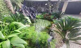 Imagem 3: São Paulo - Casa Padrão - Tremembé