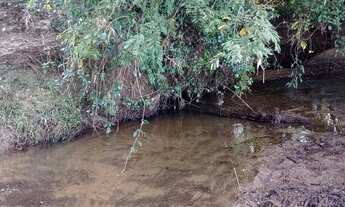 Imagem 7: Fazenda 51 Hectares, santo Antônio da patrulha