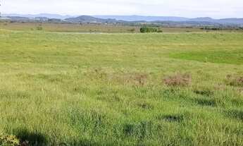 Imagem: Fazenda 51 Hectares, santo Antônio da patrulha