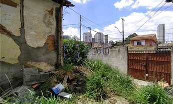 Imagem 4: VDPICDF 158 Lote 600021006-4