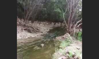 Imagem 6: Sítio luz da serra (6 hectares) vende-se ou troca. ( 20 minutos do shopping