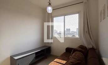 Imagem 3: Apartamento à Venda - Cambuci, 1 Quarto, 34 m2