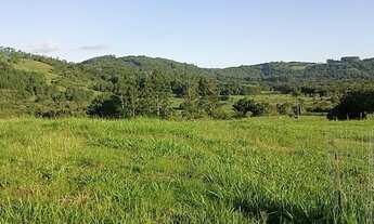 Imagem 3: Chácara com 2 Hectares com arroio