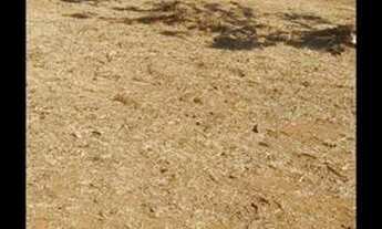 Imagem 7: EXCELENTE ÁREA DE 2.178.76.M2 ENCOSTADO NA GO-040 QD.26 LTS.13.14.15.16.17