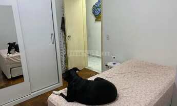 Imagem 6: Rio Comprido Apartamento com 4 dormitórios