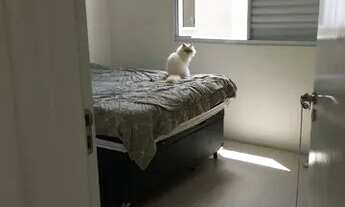 Imagem 6: Vende ou alugo apartamento Embu Guaçu