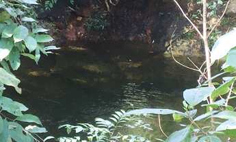 Imagem 6: Chácara, 20.000 m2, até 11 hectares, prox. Pousada Paraíso, córrego translúcido - Pirenópo