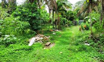 Imagem 3: Terreno amplo ao lado do Alphaville