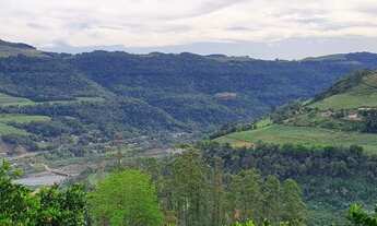 Imagem: 3,2 ha - Bento Gonçalves - RS