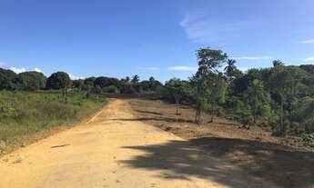 Imagem 6: Terreno na ilha oportunidade