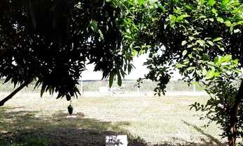 Imagem: Terreno em Paulicéia acesso ao rio