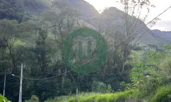 Imagem 4: Terreno de 459m² em São Pedro da Serra - Oportunidade Única para Residência ou Comércio!