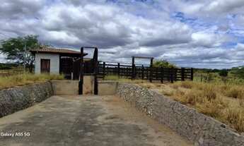 Imagem 5: FAZENDA EM LAJEDINHO - 4000 TAREFAS