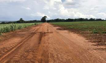 Imagem: Fazenda em carneirinho na cana