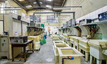 Imagem 3: Galpão comercial para venda em Várzea de Baixo , 384m²