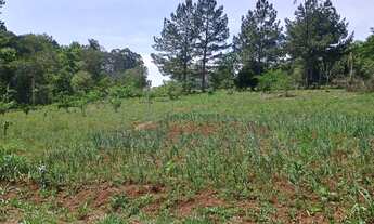 Imagem 5: BAIXOU - Sítio 3 hectares - Fazenda Fialho/Taquara-RS