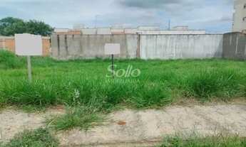 Imagem: Venda Terreno NOVO MUNDO