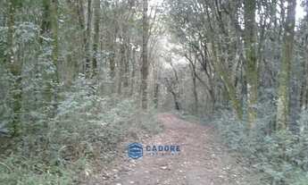 Imagem 3: Area de terra com 4,3 hectares a venda cxs