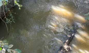 Imagem 3: Chácara a venda em Hidrolandia antes do pedágio