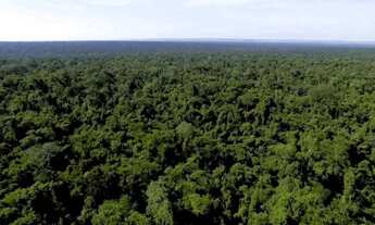 Imagem 2: Fazendas/Áreas para Investimento em Credito de Carbono com Documentação 100% Completa