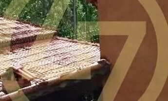 Imagem 5: Sítio em Sarandi - Guareí