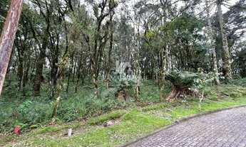 Imagem: TERRENO NO CONDOMÍNIO PINHEIRO GROSSO EM