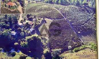 Imagem 2: Sítio | Próximo do Asfalto | Casa Sede | Lago e Nascente