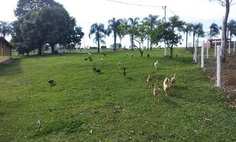 Imagem 6: Sitio a venda Chácara com venda por R$1.850.000