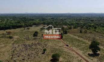 Imagem 6: Fazenda 198 Alqueire (958 hectares) Araguapaz - GO