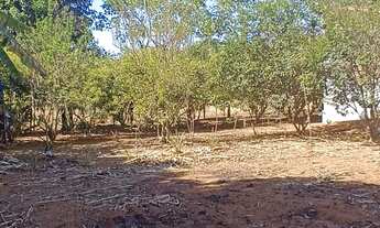 Imagem 6: Chácara 6.000m² - Sitio Recreio Savanah Hidrolândia Chácara à Venda, 6000.00 por R$ 750000