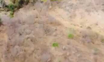 Imagem 4: VENDE-SE 49,6 HACTARE PARA PLANTIO DE CAFÉ OU CRIAÇÃO DE GADO