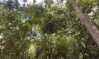 Imagem 3: Chácara para Venda em Senador Canedo, Sitios para Recreio Solar das Auroras, 6 dormitórios