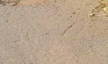 Imagem 2: Chacaras no sítio novo