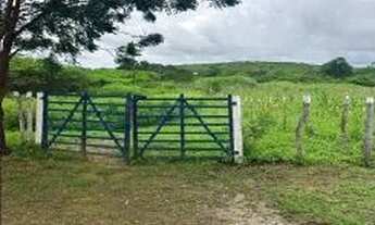 Imagem: Venda Fazenda 825 hectares em General Sampaio-CEARÁ