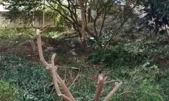 Imagem 2: AREA - ANÁLIA FRANCO - SP