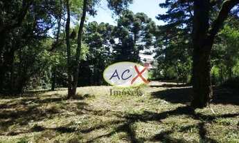 Imagem 7: Terreno à venda, 2000 m² por R$ 715.000,00 - Cachoeira - Curitiba/PR