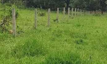 Imagem 6: Chácara em Pontalina