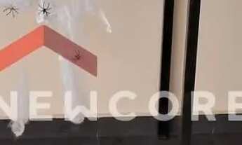 Imagem 4: Apartamento em Rua Fábia - Lapa - São Paulo/SP