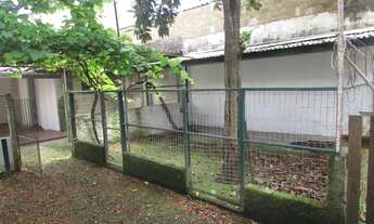 Imagem 7: Casa em São João