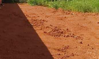 Imagem: Lote murado 30x13,5, na área do PDOT