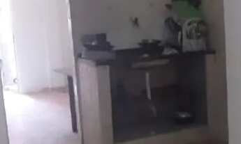 Imagem 3: Aliga-se Casa com 1 dormitório