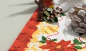 Imagem 4: Casa 2/4 a venda residencial talismã