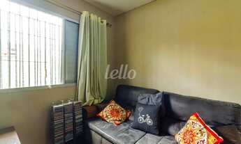 Imagem 3: Apartamento 3 quartos para alugar no(a) Vila Amália (Zona Norte