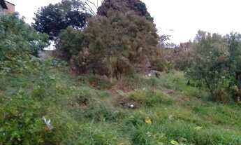 Imagem 5: Lote em Rua Salgado - Jardim Célia - Guarulhos/SP