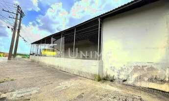 Imagem 5: Galpão - Jardim Aurélia - Campinas